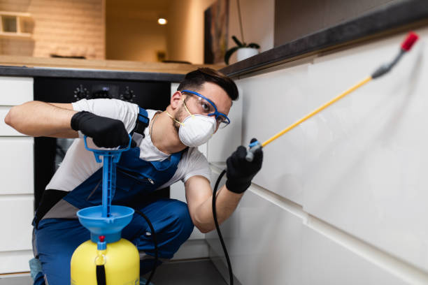 Best Termite Control Services  in Woodsboro, TX